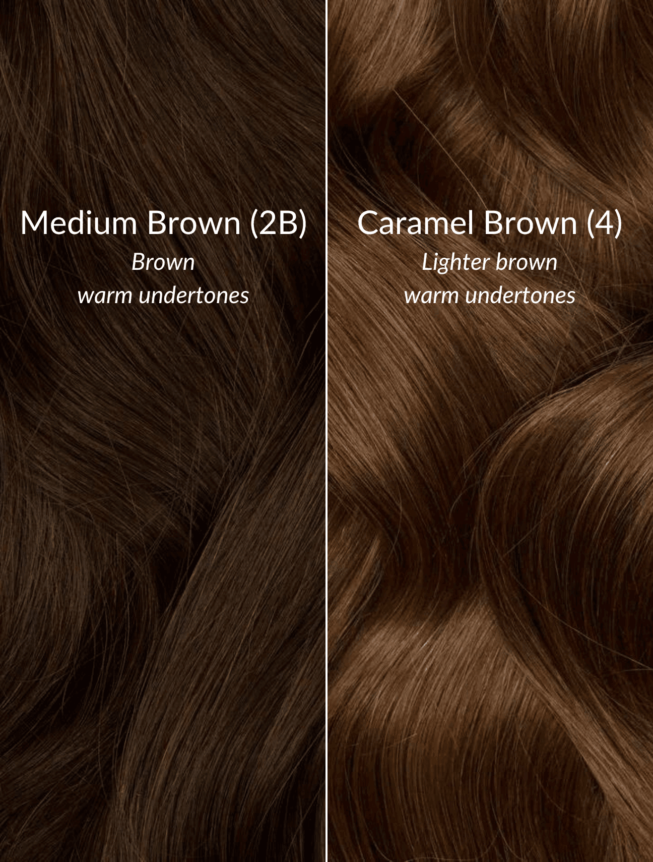 Caramel Brown (4) Thinning Hair Fill-Ins - BOMBAY HAIR 